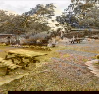 Thredbo River picnic area - Accommodation Gold Coast