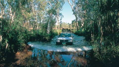 Tjaynera Falls (Sandy Creek) - 1 Gold Coast 1