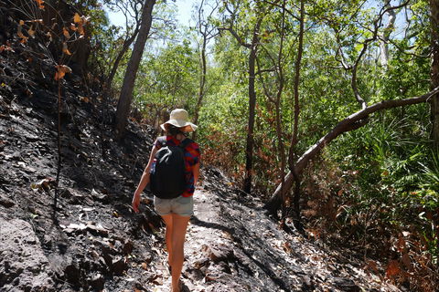 Tjaynera Falls (Sandy Creek) - 1 Gold Coast 2