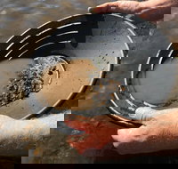 Tuena Panning for Gold - Accommodation Gold Coast