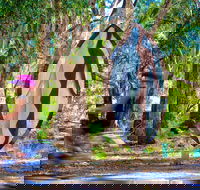 Wagirra Trail and Yindyamarra Sculpture Walk - Accommodation Gold Coast