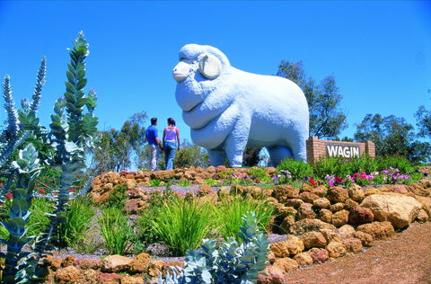 Wagin - Accommodation Gold Coast 0