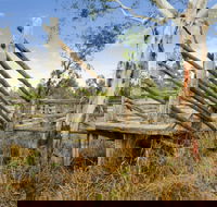 Wandoan - Accommodation Gold Coast