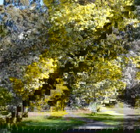 Wattle Park - Gold Coast 4U