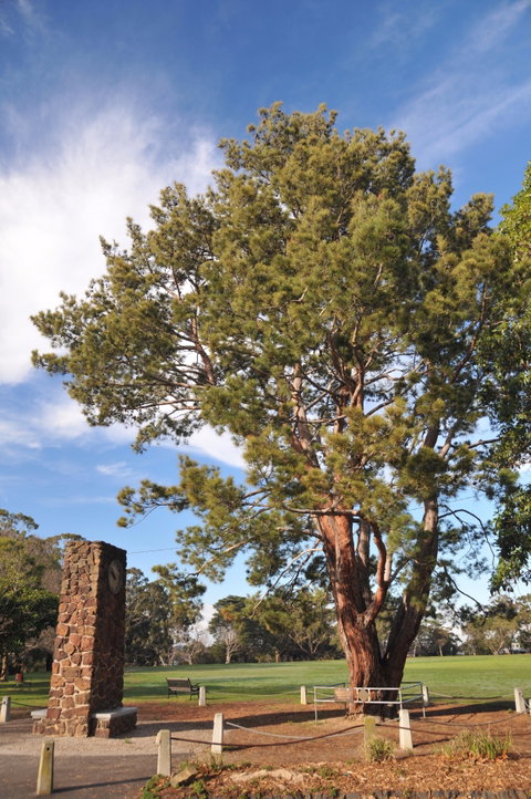 Wattle Park - Accommodation Gold Coast 2