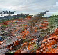 Western Ridge Walk - Accommodation Gold Coast