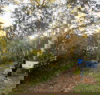 Yarrangobilly Caves  River walk - Accommodation Gold Coast