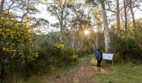Yarrangobilly Caves – River Walk - Accommodation Gold Coast 0