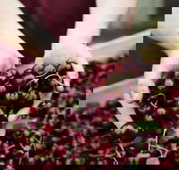 Yarra Valley Cherries - Accommodation Gold Coast