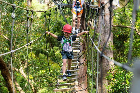 Zipline At Illawarra Fly - Accommodation Gold Coast 1