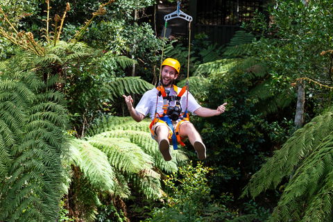 Zipline At Illawarra Fly - Accommodation Gold Coast 2