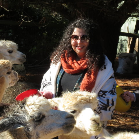 Alpaca Farm Experience At Crookwell - Accommodation Gold Coast 1