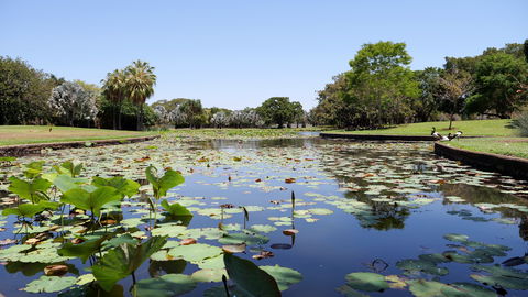 Anderson Park Botanic Gardens - 1 Gold Coast 0