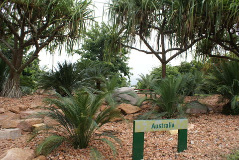 Anderson Park Botanic Gardens - 1 Gold Coast 2