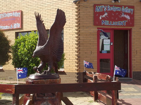 Ant's Redgum Gallery - Accommodation Gold Coast 0