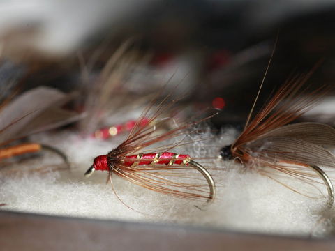 Australian Fly Fishing Museum - Gold Coast 4U 0