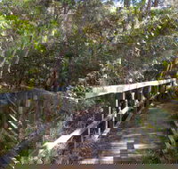 Awaba Bay Foreshore Walk
