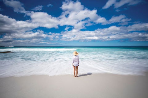 Bay Of Fires - Accommodation Gold Coast 1