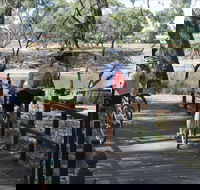 Bidgee Riverside Trail  - Hay Nature Walk - Accommodation Gold Coast