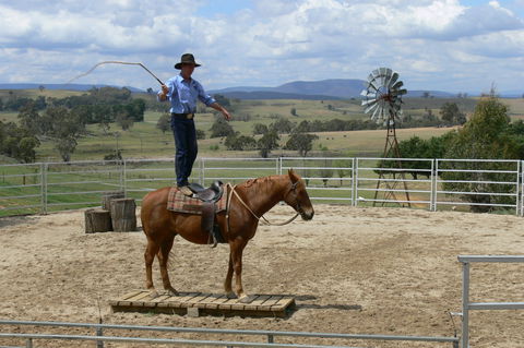 Boggy Creek Show - Accommodation Gold Coast 0