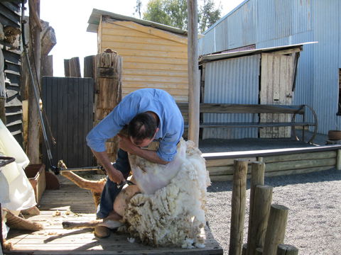 Boggy Creek Show - Accommodation Gold Coast 2