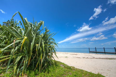 Bongaree Walkabout - Accommodation Gold Coast 0