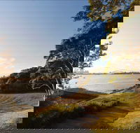 Bradleys Head Amphitheatre - Accommodation Gold Coast