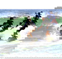 Broadbeach Surf School - Accommodation Gold Coast