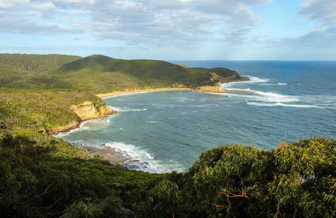 Bullimah Spur Track - Accommodation Gold Coast 0