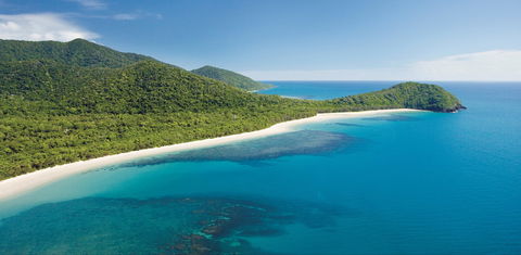 Cape Tribulation, Daintree National Park - Accommodation Gold Coast 0