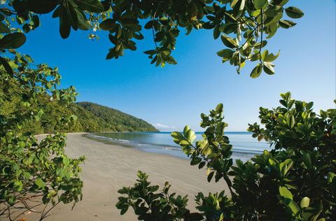 Cape Tribulation, Daintree National Park - Accommodation Gold Coast 1
