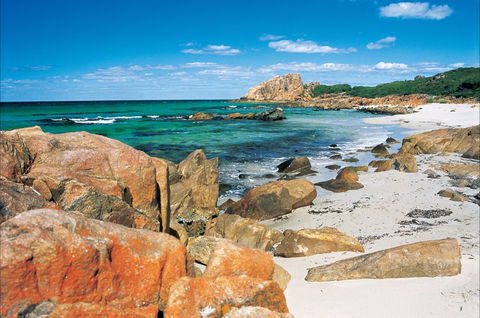 Castle Bay - 1 Gold Coast 0