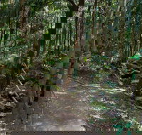 Cascades Walk - 1 Gold Coast