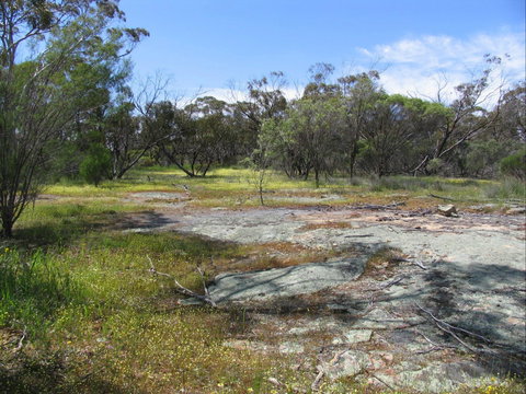 Christmas Rock Walk - 1 Gold Coast 0