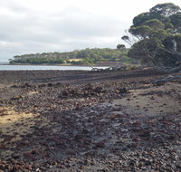 Churchill Island Marine National Park - Accommodation Gold Coast
