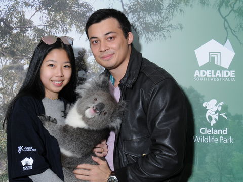 Cleland Wildlife Park - Koala Hold - Accommodation Gold Coast 0