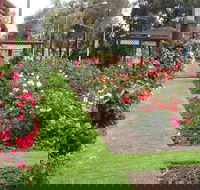 Cowra Rose Garden - Accommodation Gold Coast