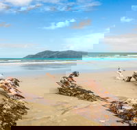 Cow Bay - Accommodation Gold Coast
