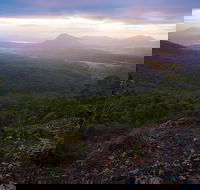 Cunninghams Gap and Spicers Gap Main Range National Park - Accommodation Gold Coast
