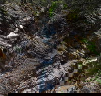 Dasher Falls - Accommodation Gold Coast