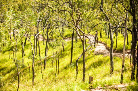 Davies Creek Mountain Bike Park - 1 Gold Coast 0