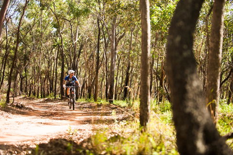 Davies Creek Mountain Bike Park - 1 Gold Coast 1