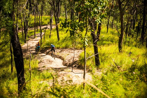 Davies Creek Mountain Bike Park - 1 Gold Coast 2