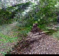 Double Wharf Trail - 1 Gold Coast