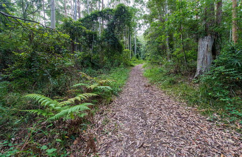 Double Wharf Trail - 1 Gold Coast 0