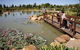 Dubbo Regional Botanic Garden - Closed Until Further Notice - thumb 1