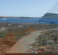 Elliston Coastal Trail - Accommodation Gold Coast