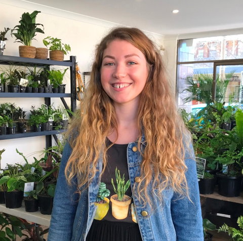 Fancy Plants - Accommodation Gold Coast 2