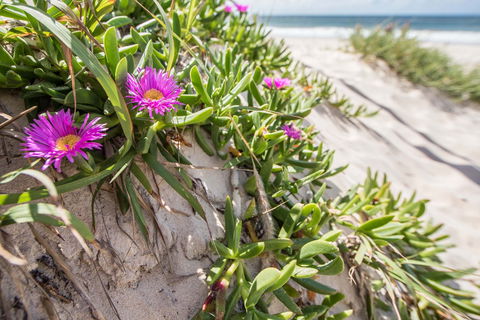 Fort Bribie - Accommodation Gold Coast 0