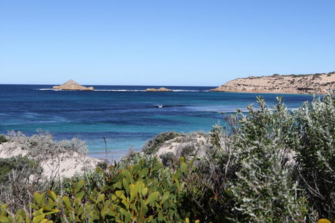 Fowlers Bay Conservation Park - Accommodation Gold Coast 0